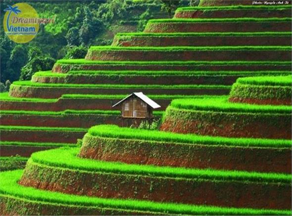 Du lịch Tây Bắc 5 ngày: Mộc Châu- Sơn La- Điện Biên- Lai Châu- Sapa Du lịch Tây Bắc 5 ngày: Mộc Châu- Sơn La- Điện Biên- Lai Châu- Sapa